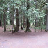 Review photo of Mount Hood National Forest Lockaby Campground - TEMP CLOSED DUE TO FIRE DAMAGE by Julie P., May 31, 2018