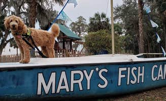 Ron K.'s photo of camping with pets at Mary’s Fish Camp near Weeki Wachee, FL