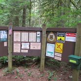 Review photo of Mount Hood National Forest Lockaby Campground - TEMP CLOSED DUE TO FIRE DAMAGE by Julie P., May 31, 2018