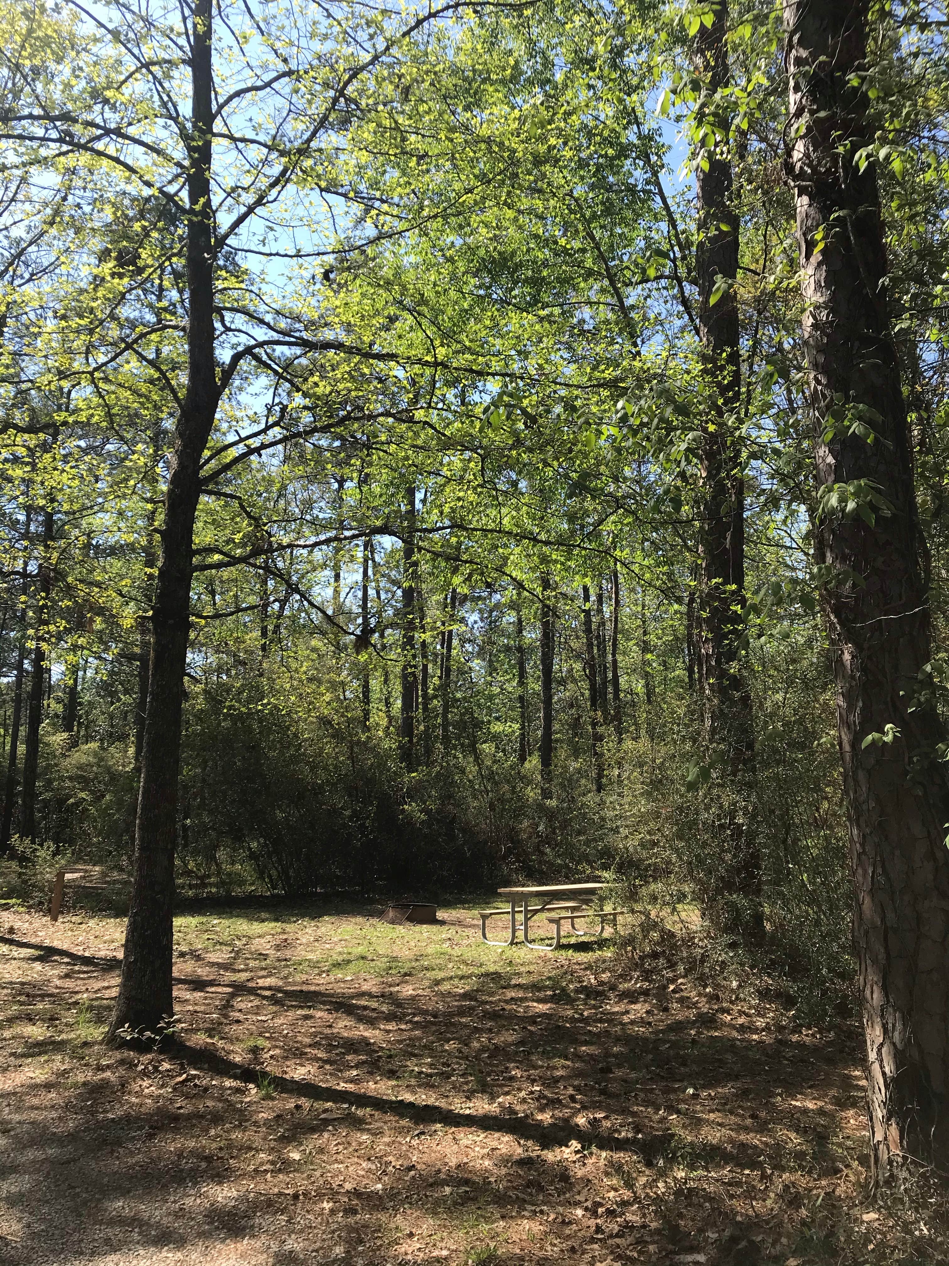 Camper-submitted photo at Harper - Blakeley State Park near Atmore, AL