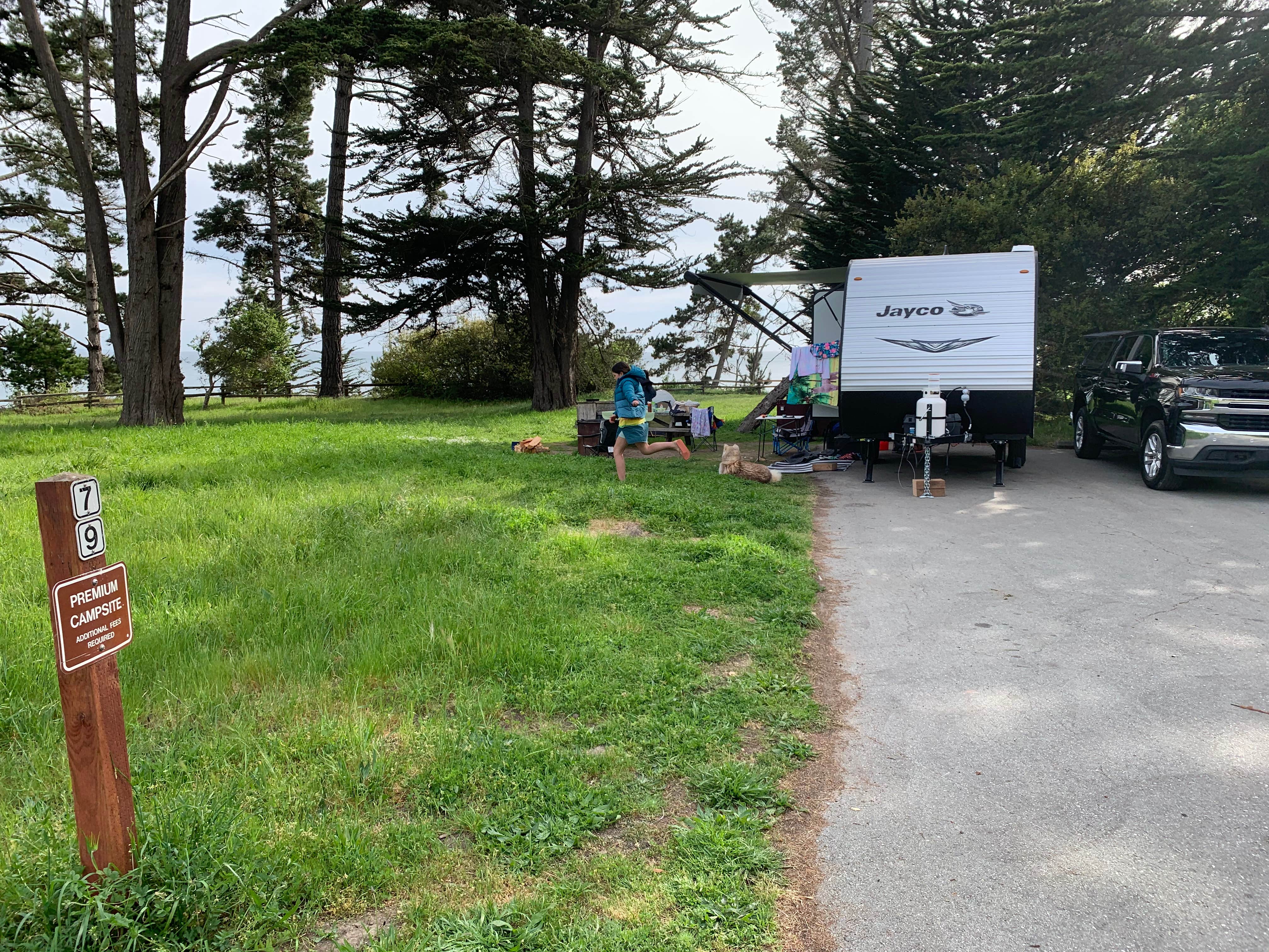 Camping near Sunset State Beach: New Brighton State Beach Campground, Capitola, California