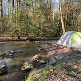 Review photo of Elkmont Campground — Great Smoky Mountains National Park by Arwen , April 5, 2021