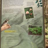 Review photo of Elkmont Campground — Great Smoky Mountains National Park by Arwen , April 5, 2021