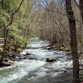 Review photo of Elkmont Campground — Great Smoky Mountains National Park by Arwen , April 5, 2021
