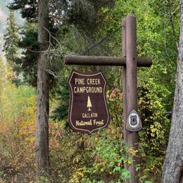 Public Campgrounds: Pine Creek Campground