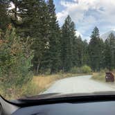 Review photo of Pine Creek Campground by Andrea , April 5, 2021