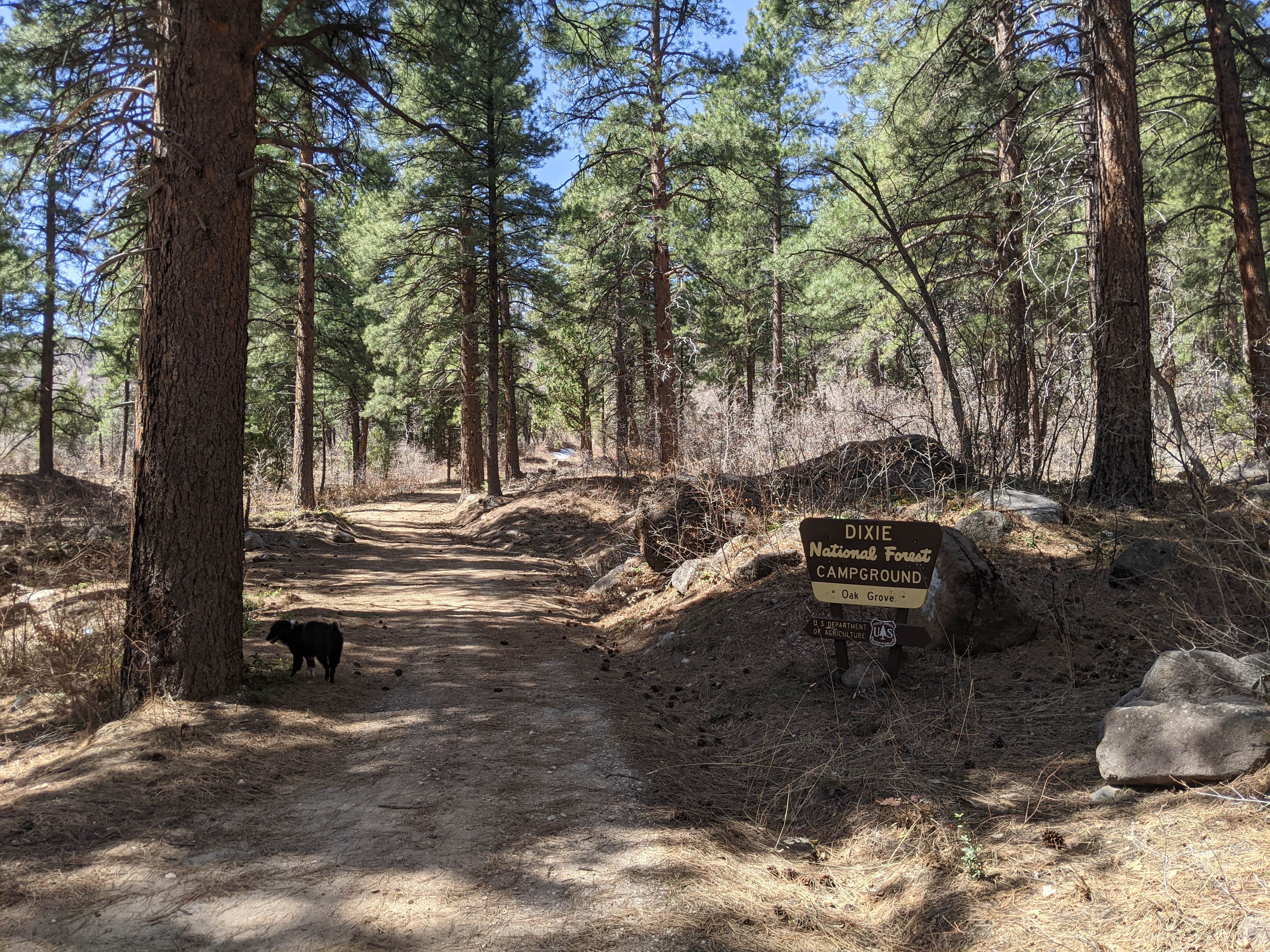 Camper submitted image from Oak Grove Campground Dixie NF - 1