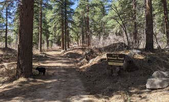 Camping near Pine Valley Equestrian Campground: Oak Grove Campground Dixie NF, Pine Valley, Utah