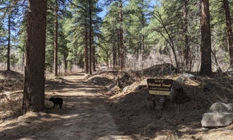 Camping near Pine Valley Equestrian Campground: Oak Grove Campground Dixie NF, Pine Valley, Utah