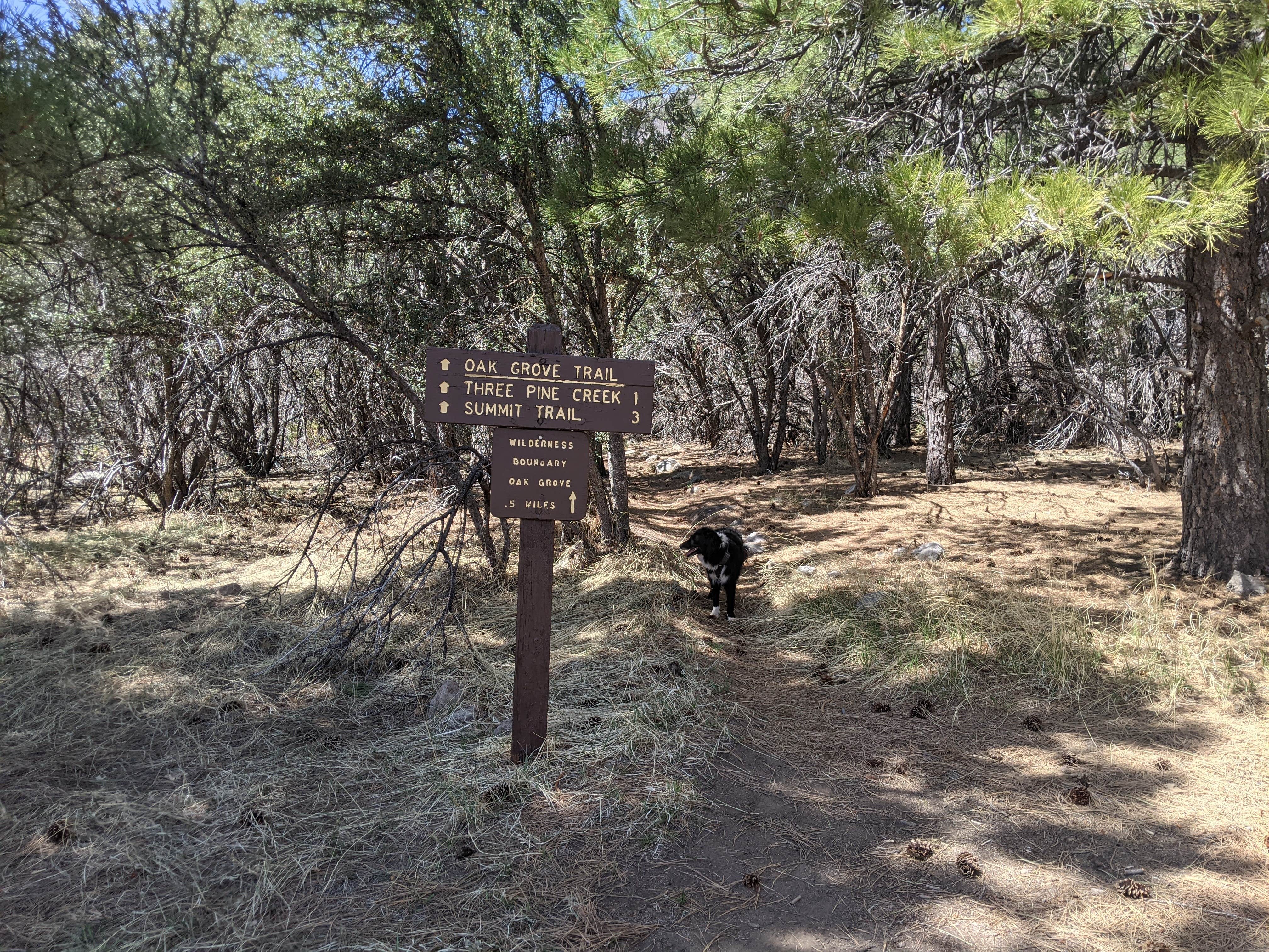 Camper-submitted photo at Oak Grove Campground Dixie NF near Veyo, UT