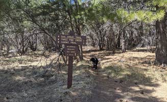Greg L.'s photo of camping with pets at Oak Grove Campground Dixie NF near Leeds, UT