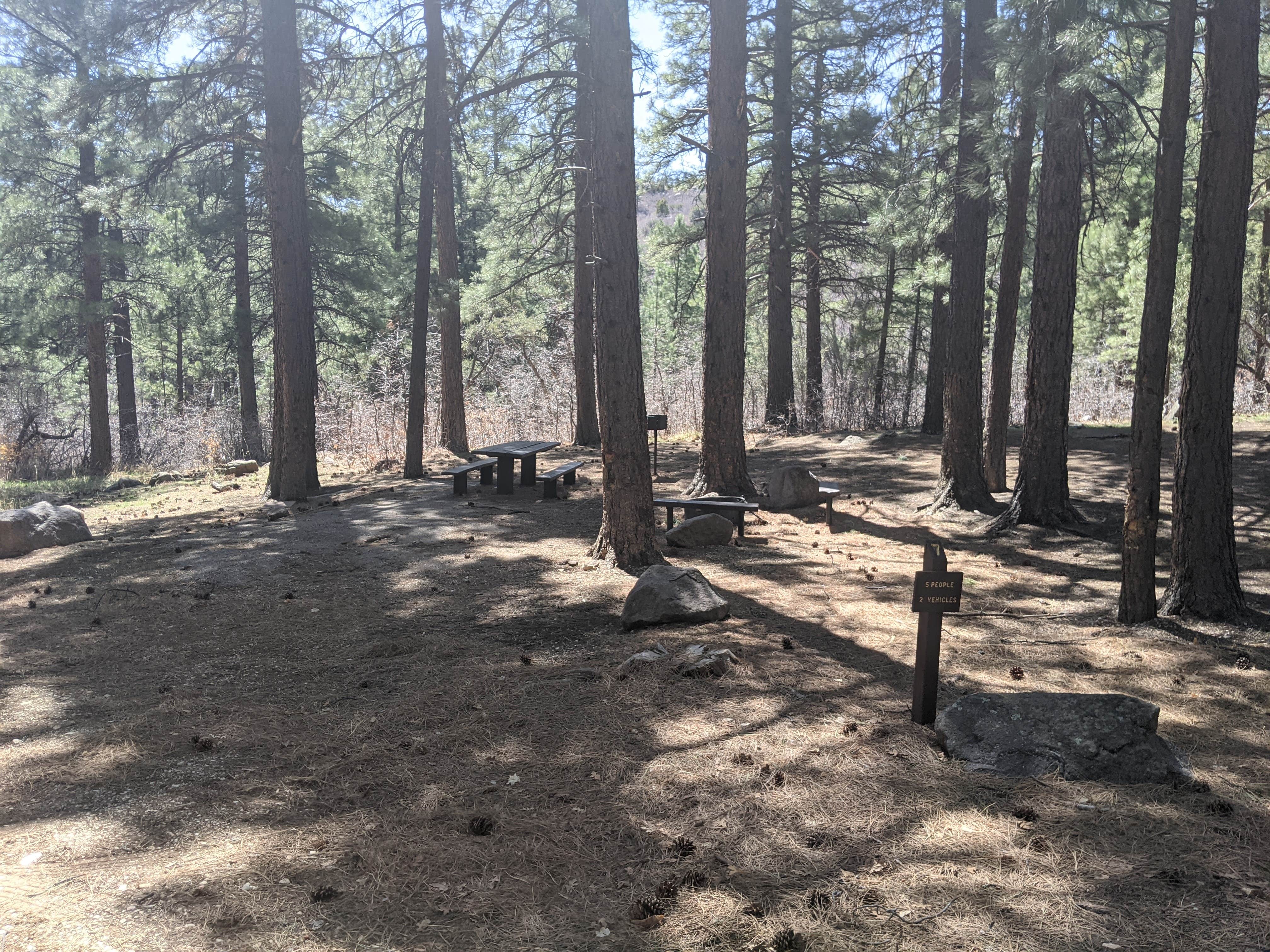 Camper submitted image from Oak Grove Campground Dixie NF - 4