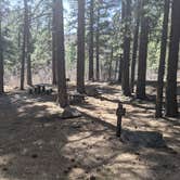 Review photo of Oak Grove Campground Dixie NF by Greg L., April 6, 2021