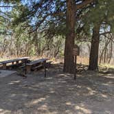 Review photo of Oak Grove Campground Dixie NF by Greg L., April 6, 2021