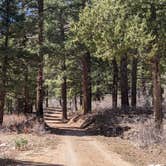 Review photo of Oak Grove Campground Dixie NF by Greg L., April 6, 2021