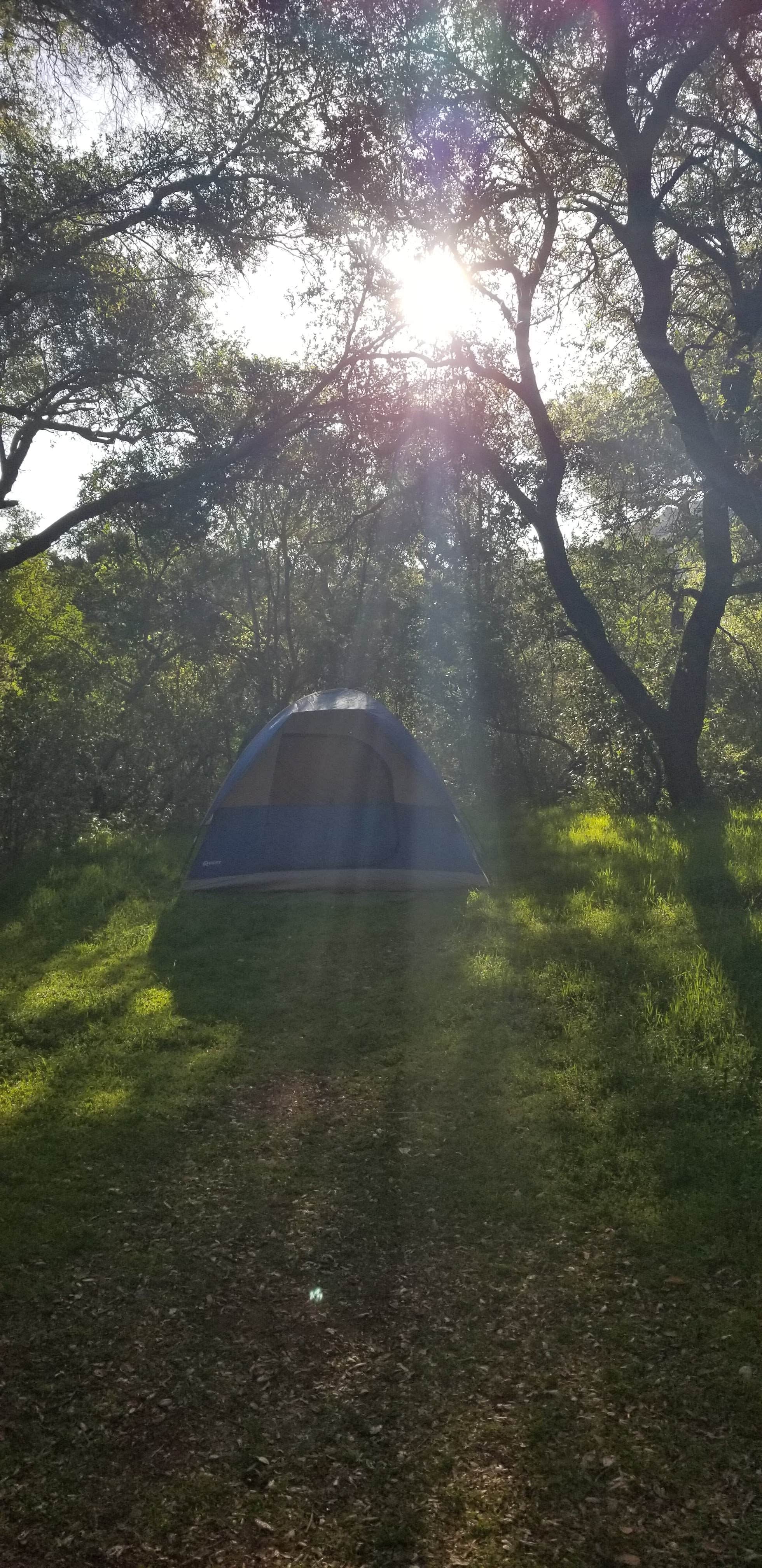 Jeff T.'s photo at Los Prietos near Los Olivos, CA