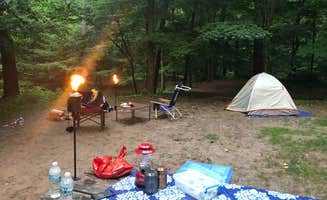 Tori Y.'s photo at Kohler-Andrae State Park near Two Rivers, WI