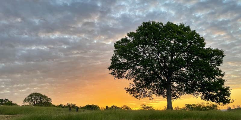 Camper submitted image from USBR Gloryhole Rec Area Big Oak Campground