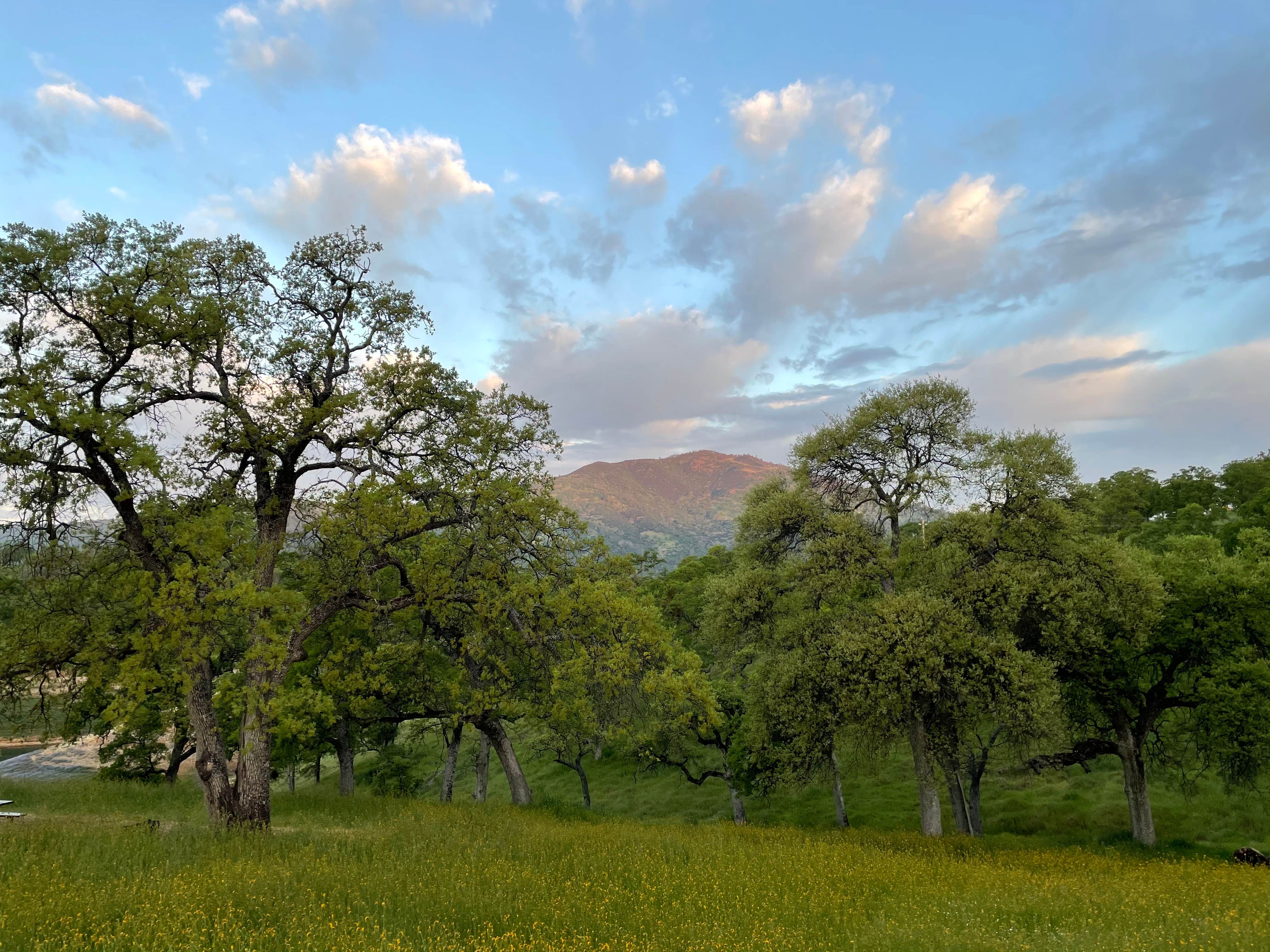 Camper-submitted photo at USBR Gloryhole Rec Area Big Oak Campground near Hathaway Pines, CA