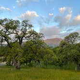 Review photo of USBR Gloryhole Rec Area Big Oak Campground by Lori T., April 6, 2021