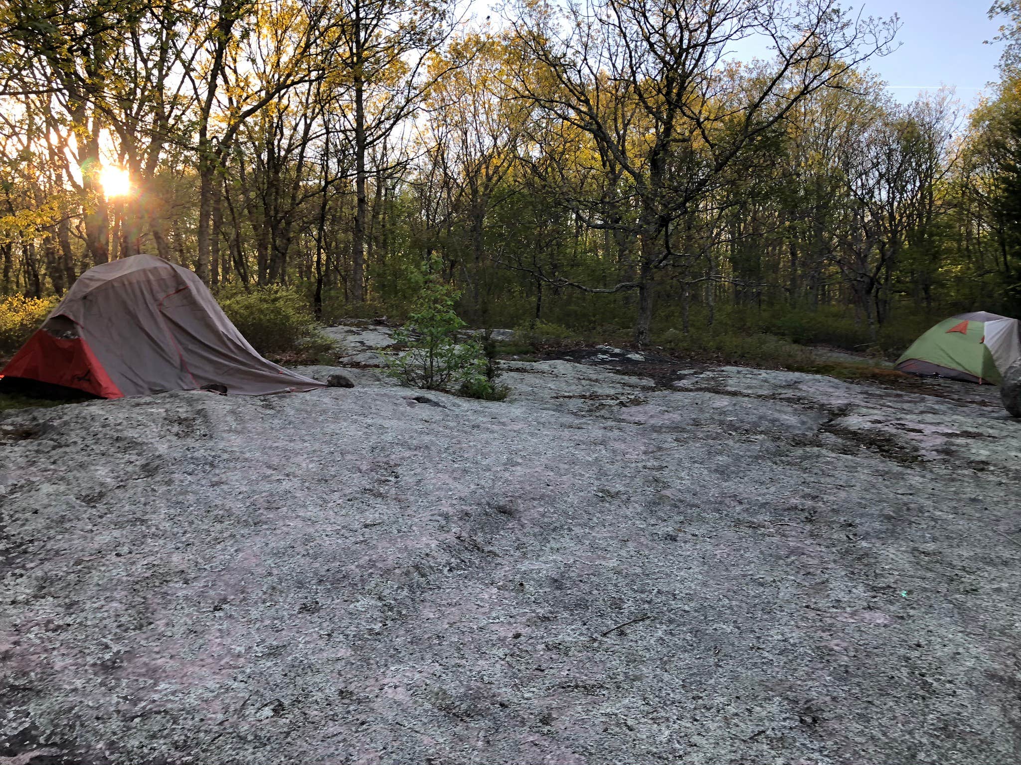 Tori Y.'s photo of tent camping at The Granite Meadow near Avon, CT