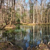 Review photo of Gilchrist Blue Springs State Park Campground by Christina , April 6, 2021
