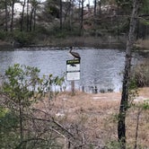 Review photo of Dr. Julian G. Bruce St. George Island State Park Campground by Christina , April 6, 2021