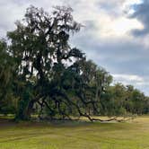 Review photo of Fontainebleau State Park Campground by Christina , April 6, 2021