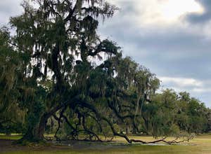Fontainebleau State Park Campground