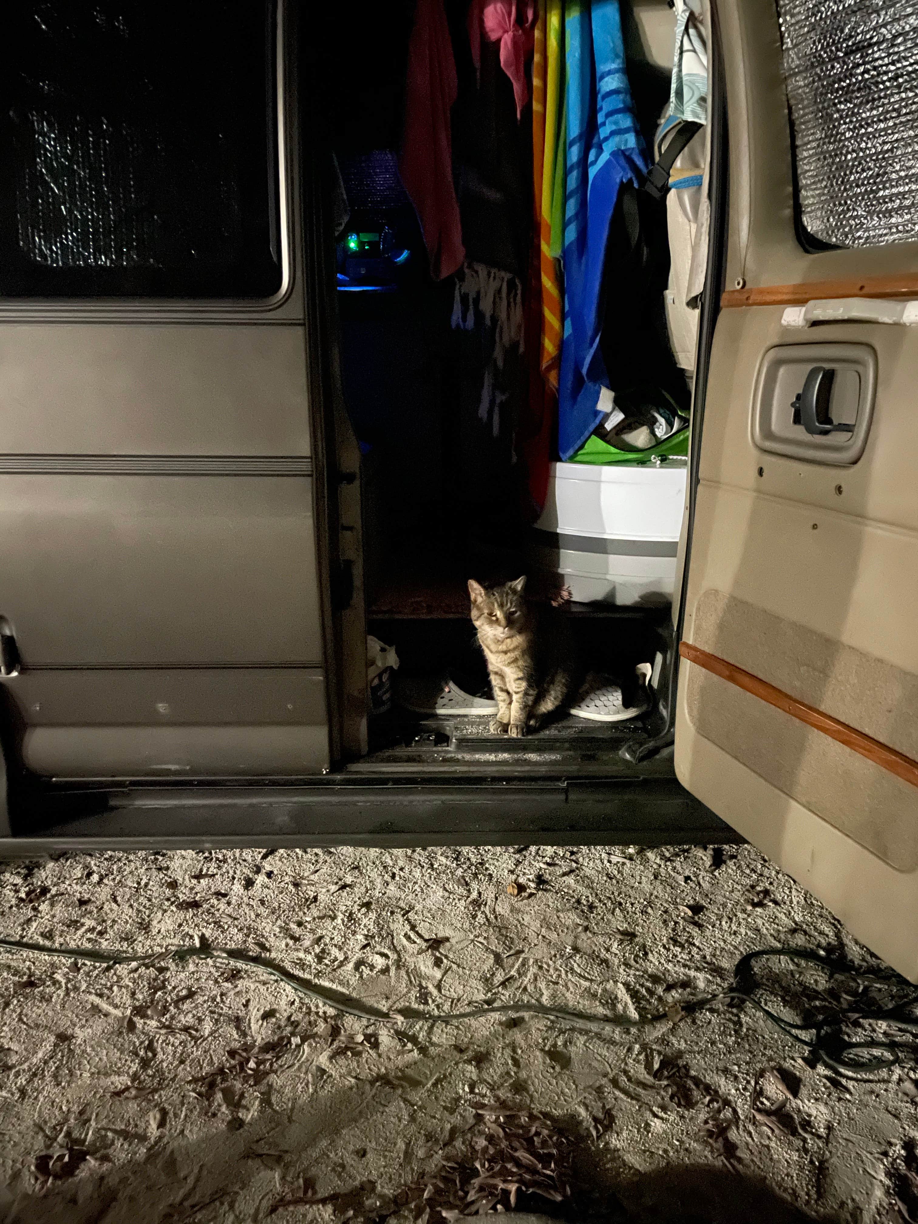 Anna F.'s photo of camping with pets at Big Pine Key RV Park in Florida