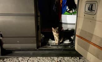 Anna F.'s photo of camping with pets at Big Pine Key RV Park near Key West, FL