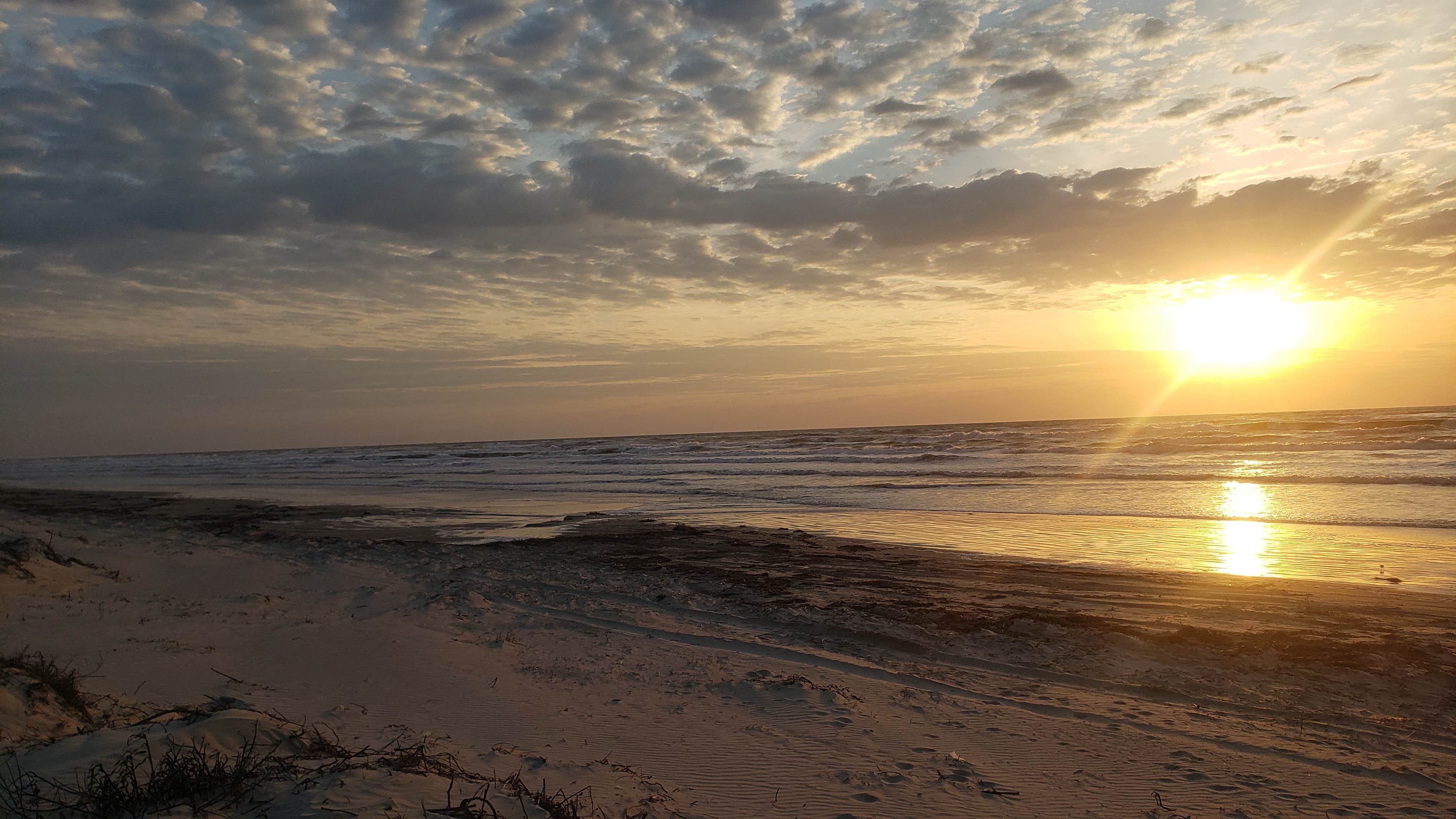 Tucker B.'s photo of a dispersed camping area at South Beach — Padre Island National Seashore near Chapman Ranch, TX