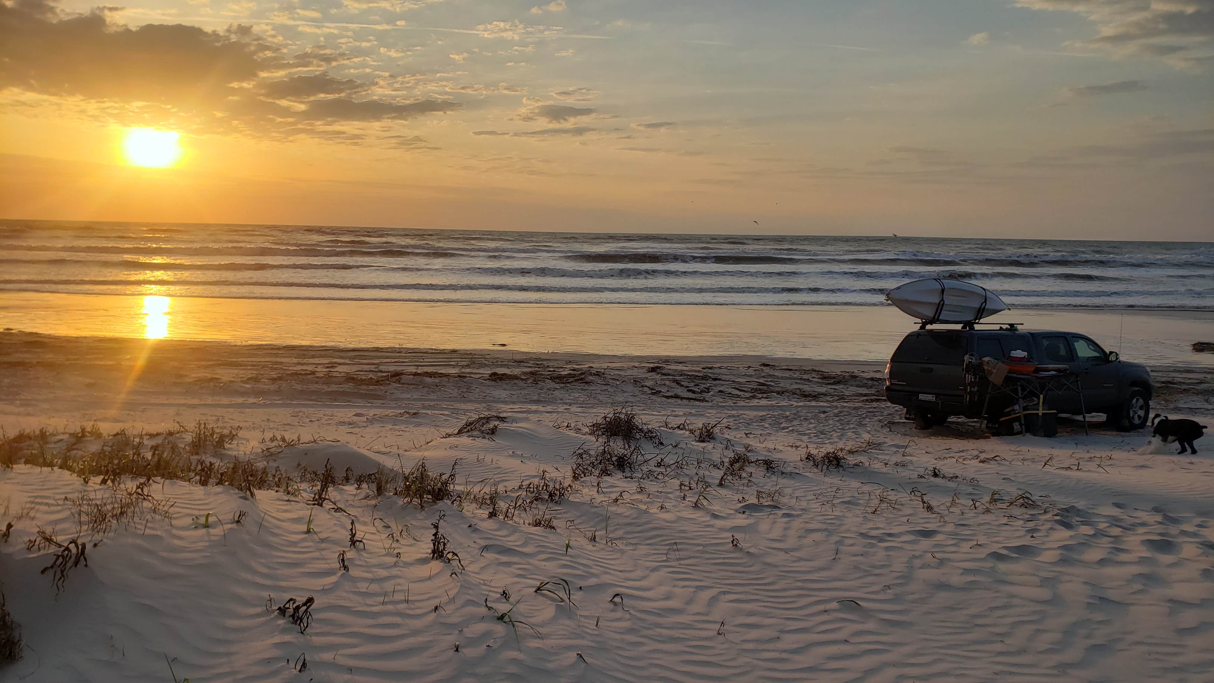 Tucker B.'s photo of camping with pets at South Beach — Padre Island National Seashore near Padre Island National Seashore