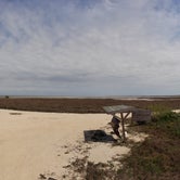 Review photo of Yarborough Pass — Padre Island National Seashore by Tucker B., April 6, 2021