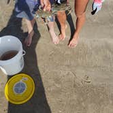 Review photo of Yarborough Pass — Padre Island National Seashore by Tucker B., April 6, 2021