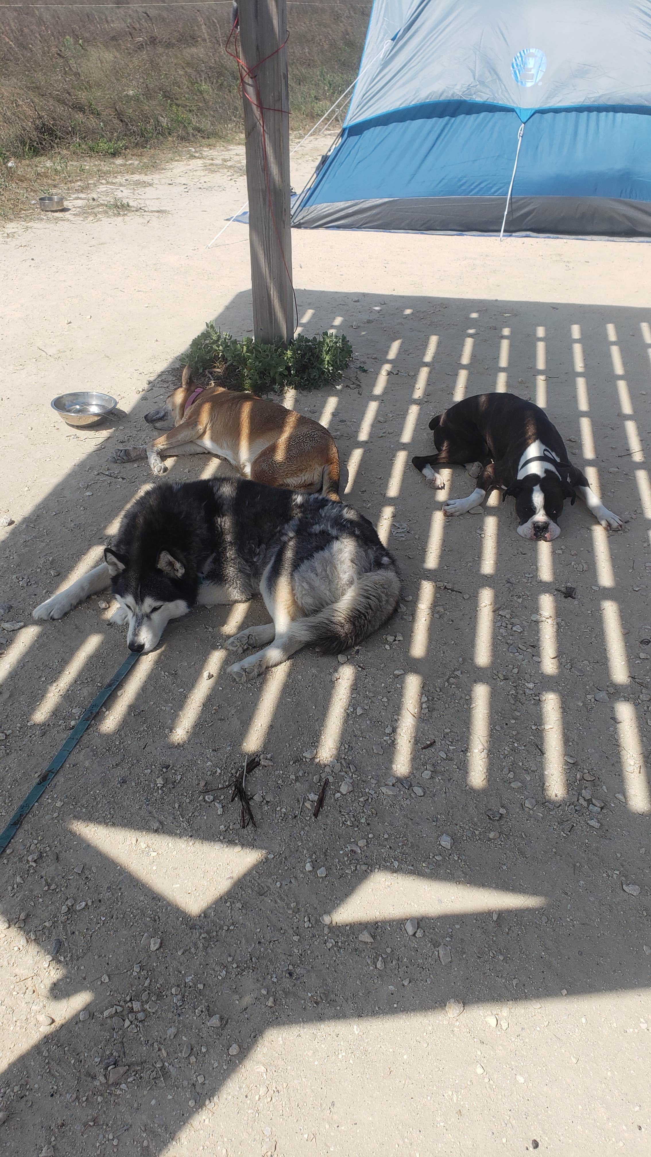 Tucker B.'s photo of tent camping at Yarborough Pass — Padre Island National Seashore near Sarita, TX