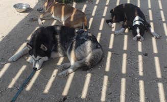 Tucker B.'s photo of tent camping at Yarborough Pass — Padre Island National Seashore near Padre Island National Seashore