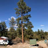 Review photo of Juniper Family Campground — Bandelier National Monument by Mike , April 6, 2021