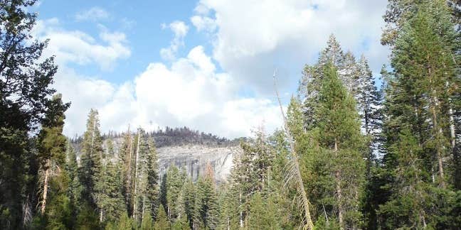 Camper submitted image from Little Yosemite Valley Campground