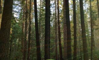 Kate W.'s photo at Little Yosemite Valley Campground near Fresno, CA
