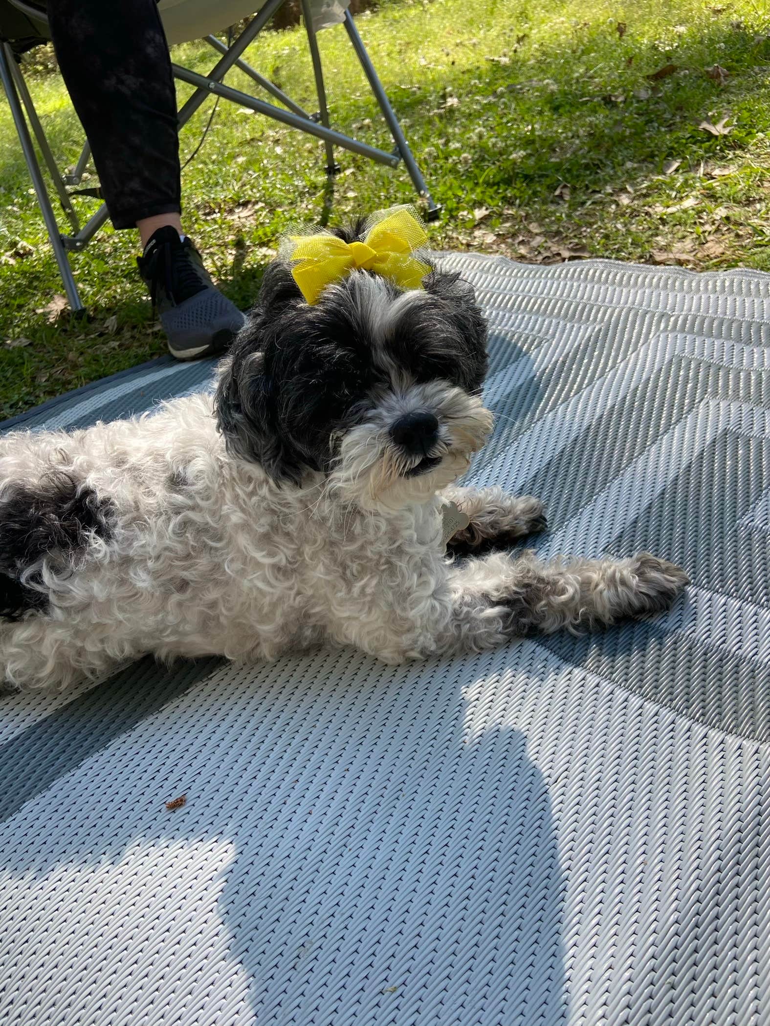 Camper-submitted photo at Natchez State Park Campground near Sicily Island, LA