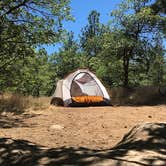 Review photo of El Prado Campground by Kate W., April 6, 2021