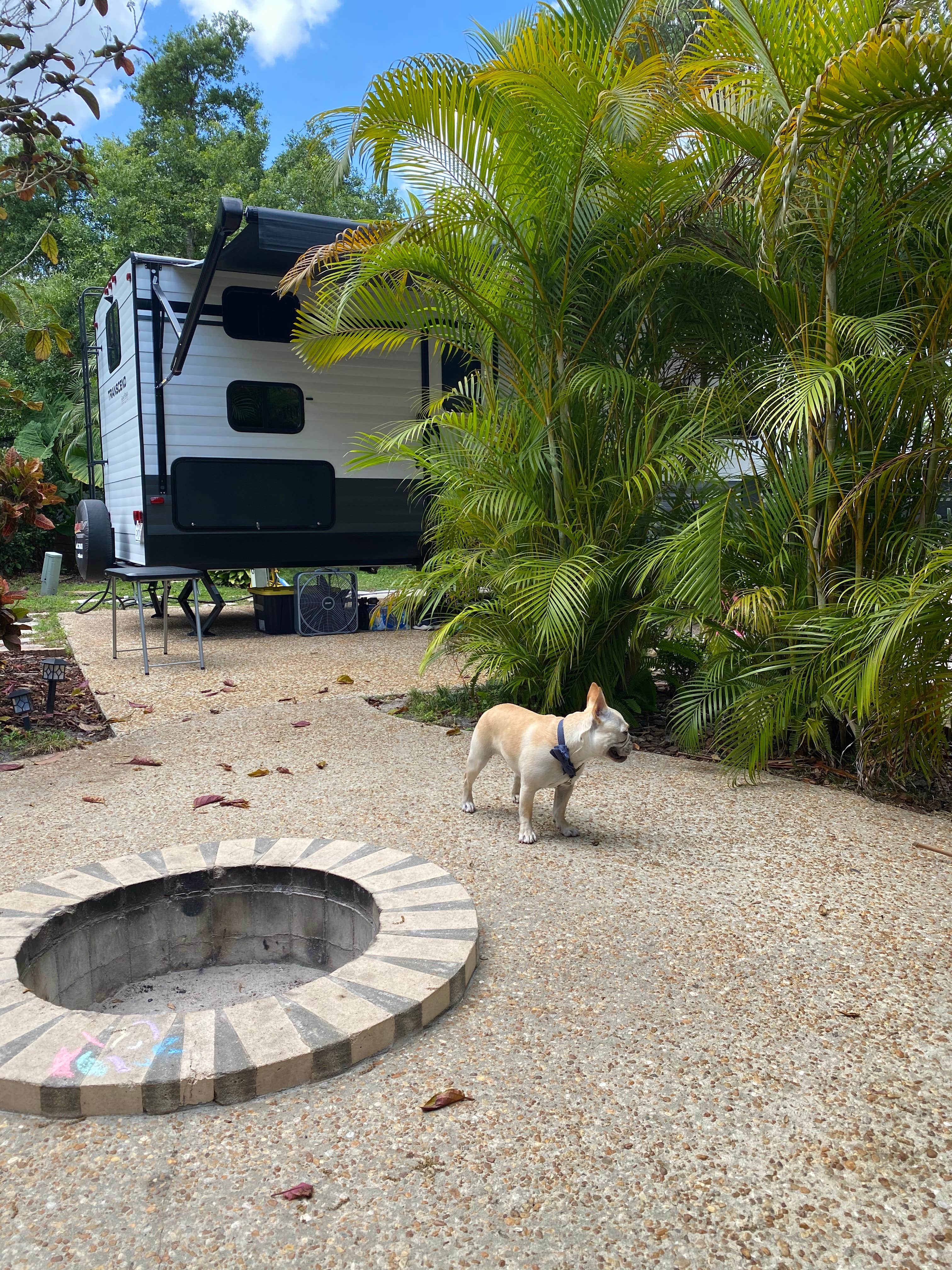 Andoni G.'s photo of camping with pets at Westgate River Ranch Resort & Rodeo near Merritt Island, FL