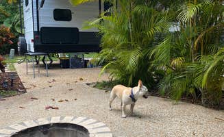 Andoni G.'s photo of camping with pets at Westgate River Ranch Resort & Rodeo near Palm Bay, FL