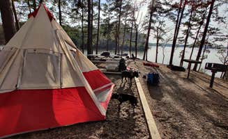 Melissa L.'s photo at Denby Point near Mount Ida, AR