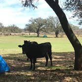 Review photo of Oxford Ranch Campground by Troy W., May 31, 2018