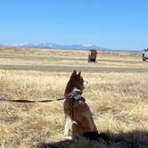 Review photo of Lake 13-Maxwell National Wildlife Refuge by Sheridan L., April 6, 2021