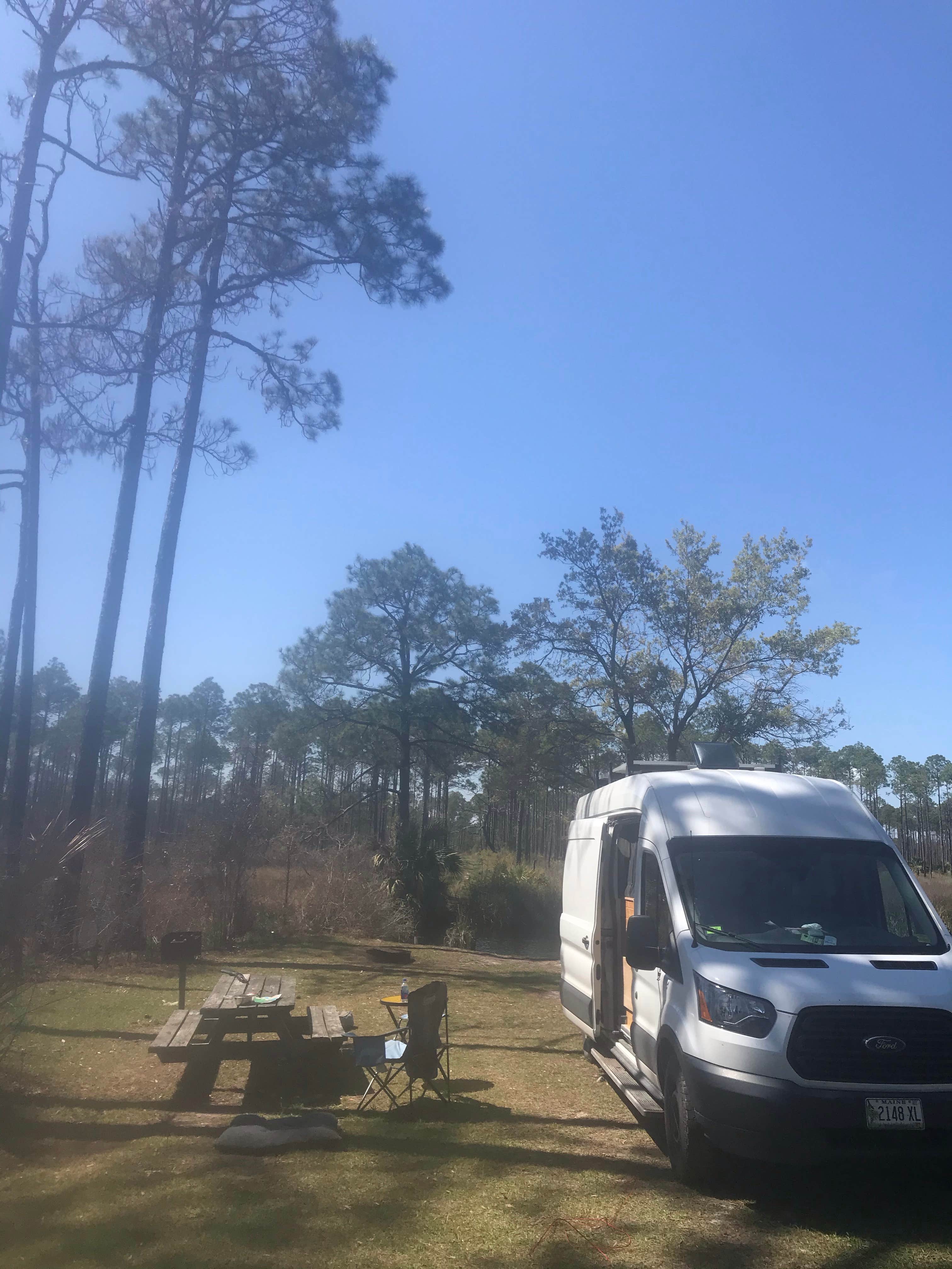 Lisa S.'s photo of rv camping at Tate's Hell State Forest High Bluff Primitive Campsites, FL near Sopchoppy, FL