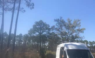 Lisa S.'s photo of rv camping at Tate's Hell State Forest High Bluff Primitive Campsites, FL near Apalachicola National Forest