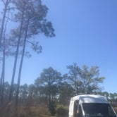 Review photo of Tate's Hell State Forest High Bluff Primitive Campsites, FL by Lisa S., April 6, 2021